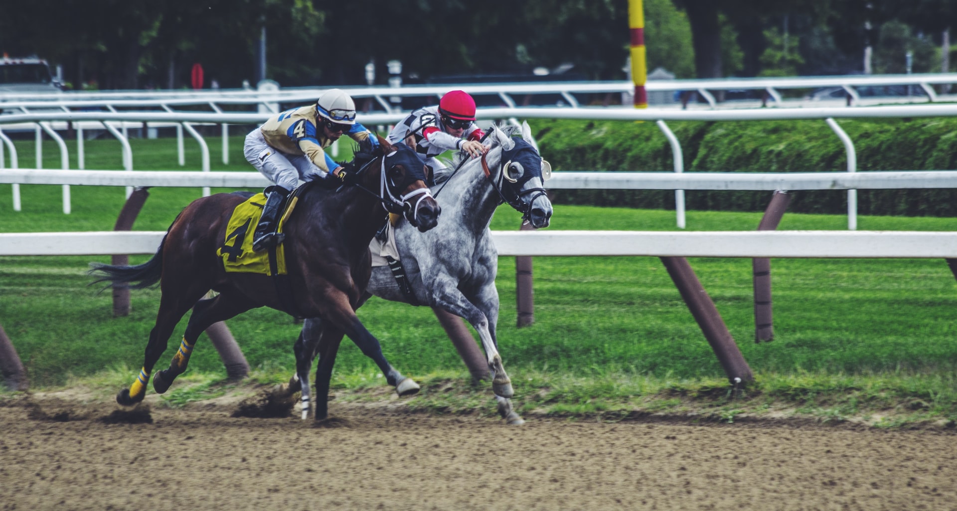 The Growing of the Sports Betting Industry