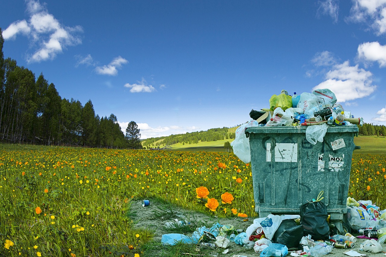 The Different Environmental Problems
